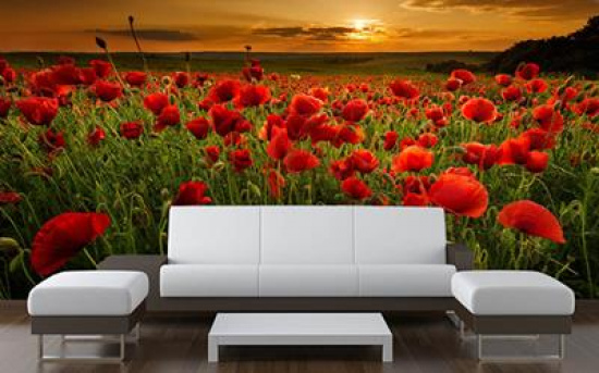 Obrazy na płótnie i fototapety na wymiar